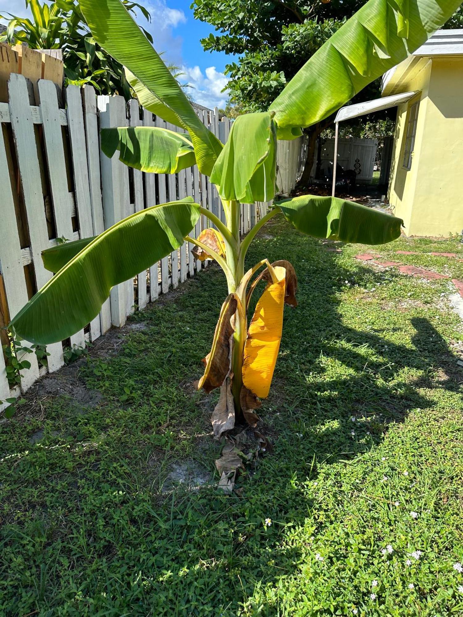 3 Bedroom House Fenced Backyard Private Patio Areas Grill Firepit Plenty Parking! Quick Access 10 Min To Beach Airport Delray West Palm Лейк-Ворт Екстер'єр фото